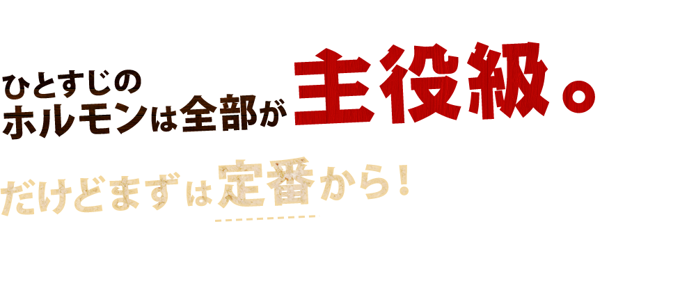 ひとすじのホルモンは全部が主役級。